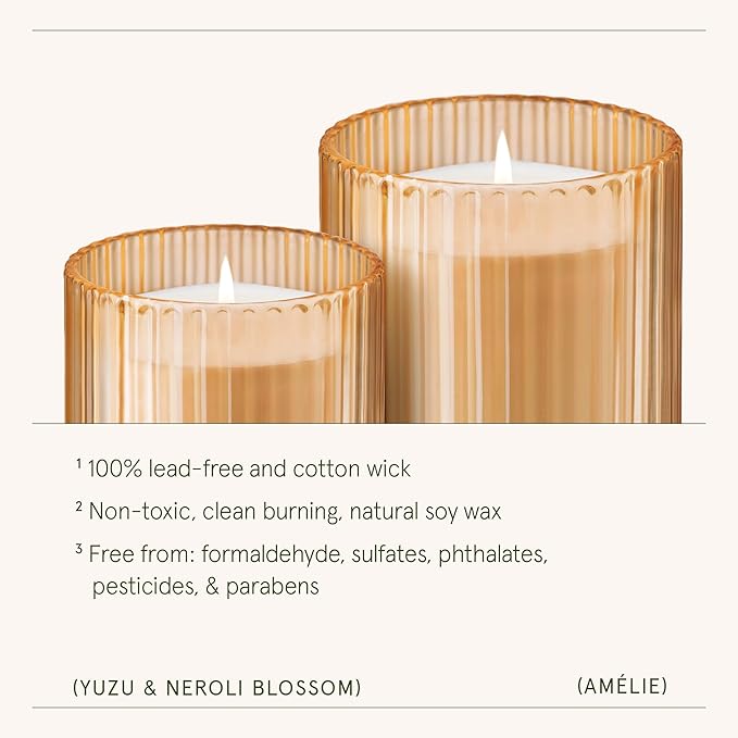 LA JOLIE MUSE Yuzu & Neroli Blossom Candles, Scented Candle Gifts for Women&Men, Natural Soy Candles, Long Burning Luxury Jar Candle, 11oz