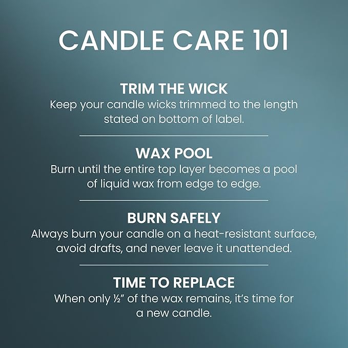 Yankee Candle Bayside Cedar, Scented Candle, 22oz Large Jar with up to 150 Hour Burn Time, Giftable