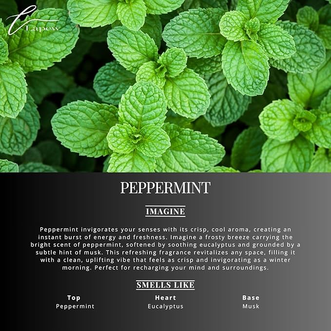 Lapew Peppermint Scented Mop Soap Concentrate 36 oz | Premium Fragranced Floor Cleaner | Streak-Free | Hard Floor Cleaning Solution | Eco Friendly | Made in USA