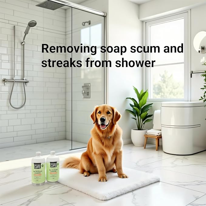 Better Life All Purpose Cleaner - Multipurpose Home and Kitchen Cleaning Spray for Glass, Countertops, Appliances, Upholstery & More - Multi-surface Spray Cleaner - 24oz (Pack of 2) Clary Sage/Citrus