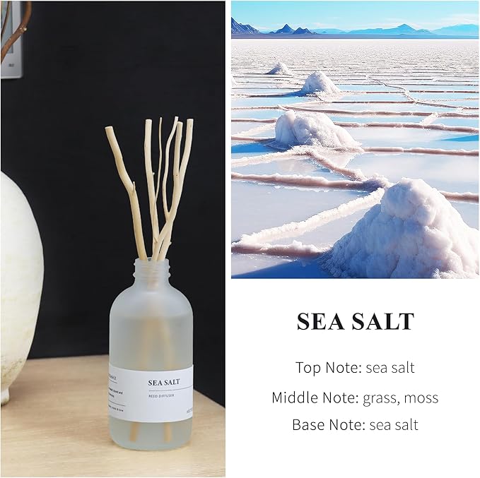 Ocean Mist & Sea Salt Reed Diffuser, 7.4oz(220ml) Sea Salt Musk & Seaweed Essential Oil Refill, Bathroom Air Freshener with Willow Branches Decor, Long Lasting Fragrance for Home (1-Pack)