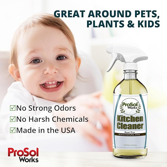 PROSOL WORKS Kitchen Cleaner 16 oz - Daily Cleaning Spray for Countertops, Sink, Cabinets, Appliances, & Stainless Steel Cleaner Revealing Natural Shine & Refreshing Scent - Safe on All Surface
