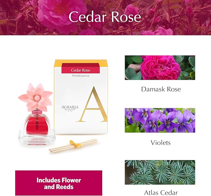 AGRARIA PetiteEssence Flower and Reed Diffuser Set, Hand Crafted Sola Flower Botanical Home Fragrance, Scented Oil Gift Set for All Occasions