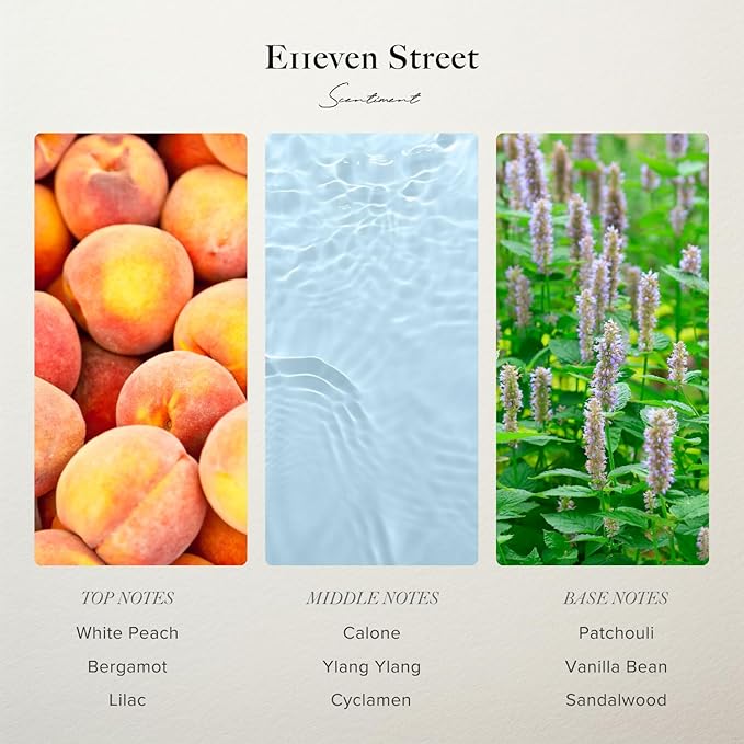 Scentiment - E11even Street Hotel Diffuser Oil | Aromatherapy Home Fragrance | Luxurious Scent with Notes of White Peach, Ylang Ylang, Mush, 50ml