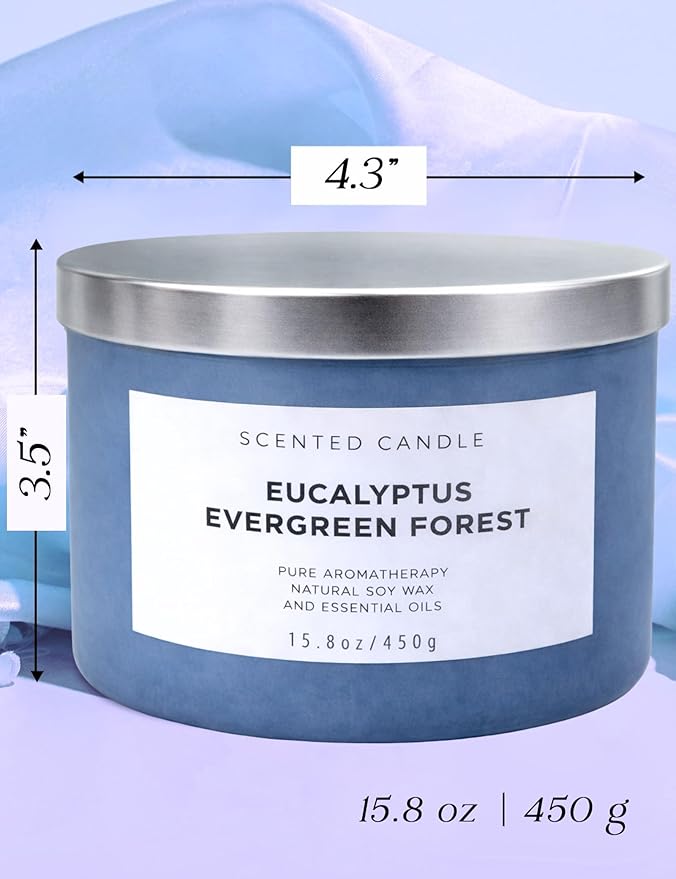 Eucalyptus Evergreen Forest 3-Wick Soy Candle, 15.8 oz | Winter Pine, Balsam Fir & Evergreen Scented Candle | Woodsy Aromatherapy Candle for Home | Clean Burn, Long-Lasting