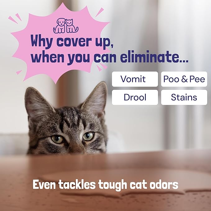 Sunny & Honey Pet Stain & Odor Miracle - Fast Acting Carpet Stain Remover & Urine Odor Eliminator - Enzyme Upholstery Cleaner Spray - For Upholstery, Couch & Mattress (32 fl oz, Light Lavender)