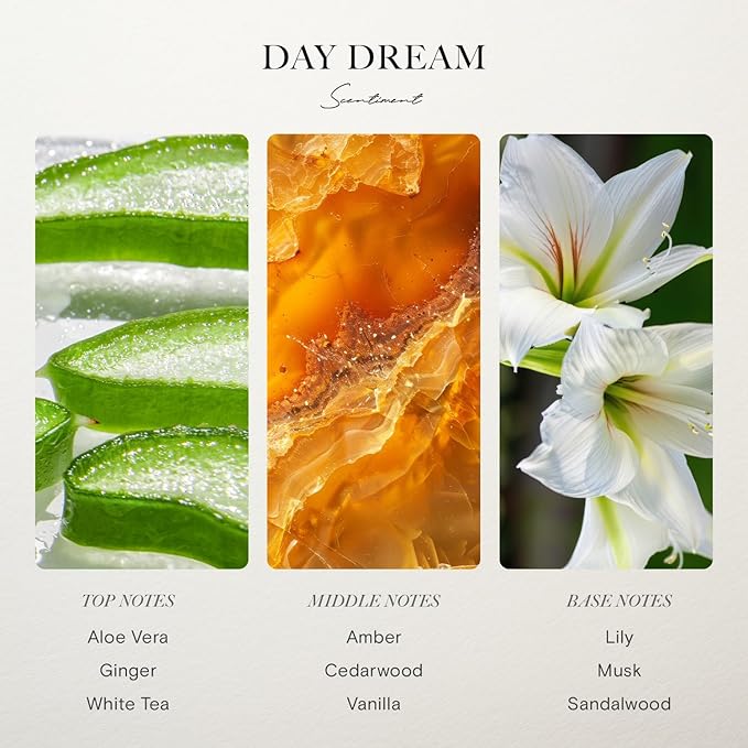 Scentiment Hotel Diffuser Oil Discovery Kit | Inspired by Five Star & Luxury Hotel Scents | Aromatherapy Oils with Notes of Cardamom, Tuscan Leather, and Sandalwood (20ml, Top 3 Scents)