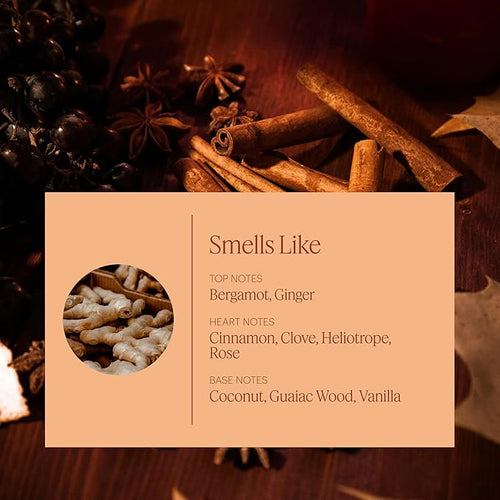 Aera Mini Pumpkin Spice Home Fragrance Scent Refill - Notes of Pumpkin, Clove and Vanilla - Works with Aera Mini Diffuser - Limited Edition