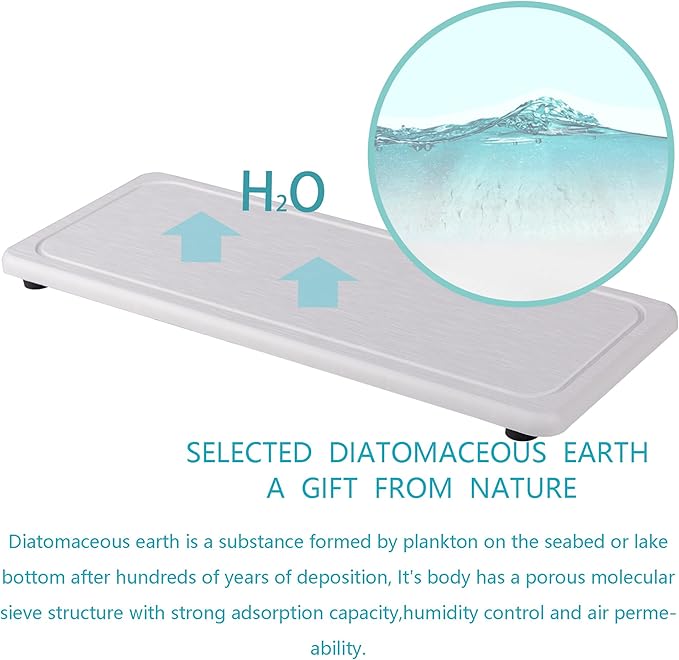 NiuYichee 2 Pcs Water Absorbing Stone Trays, Kitchen/Bathroom Sink Soap Dish, Diatomite Tray Used for Hand Soap & Cosmetic Bottles in The Modern Home, 4" W x 10.2" L, White