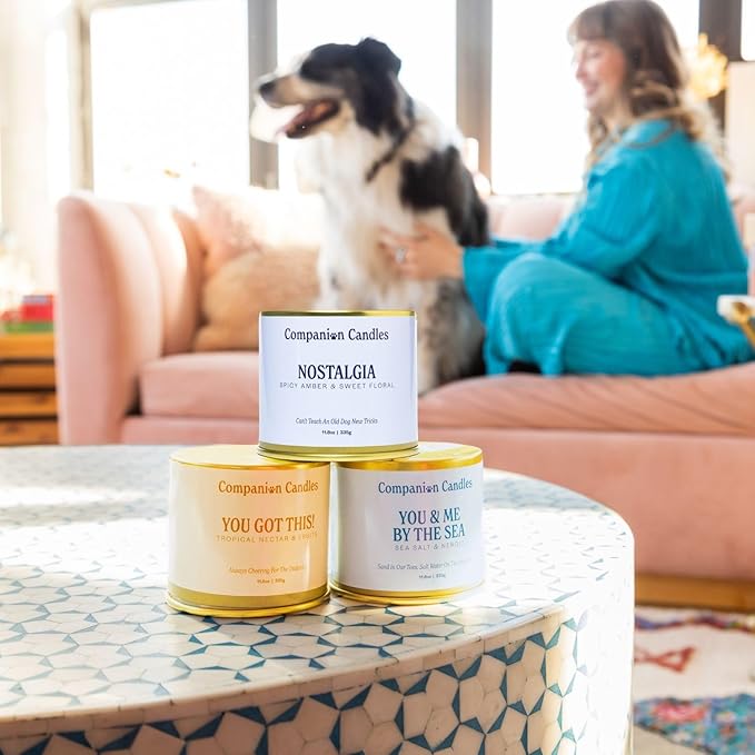 Companion Candles Pet Safe Wood Wick Candles - Sea Salt & Neroli, Citrus & Tropical Fruits, Amber & Florals, Coconut Soy Wax, 50+ Hr Burn, Non-Toxic, Women-Owned, Made in USA (11.8oz., Pack of 3)