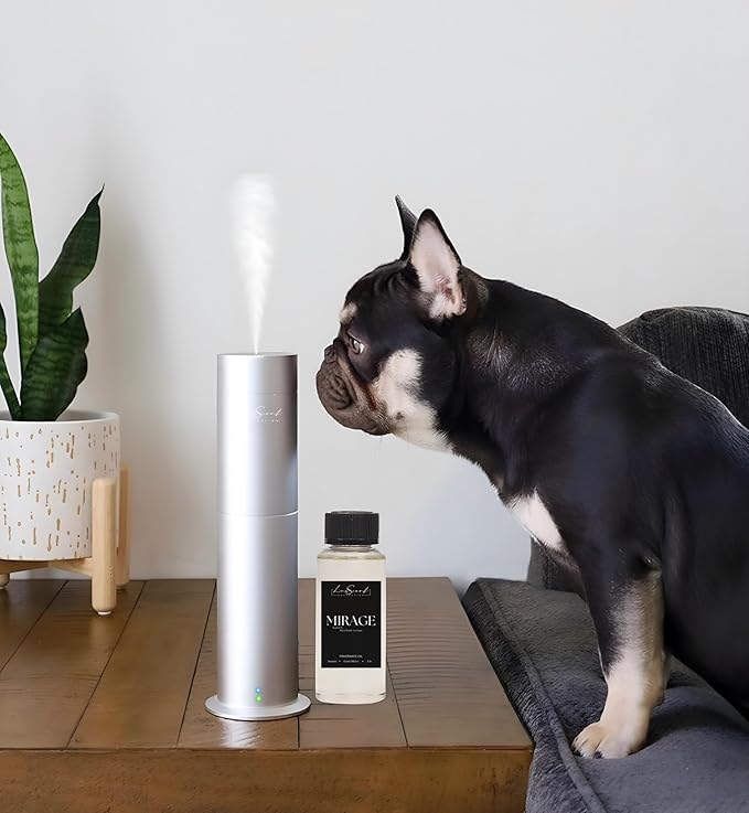 Aroma Scent Diffuser Starter Kit for Up to 1000SQ. FT. Coverage - 120ML Waterless Essential Aroma Scent Oil Included - Luxury Aroma Diffuser Ideal for Home, Office & Hotel (Silver, Mirage)