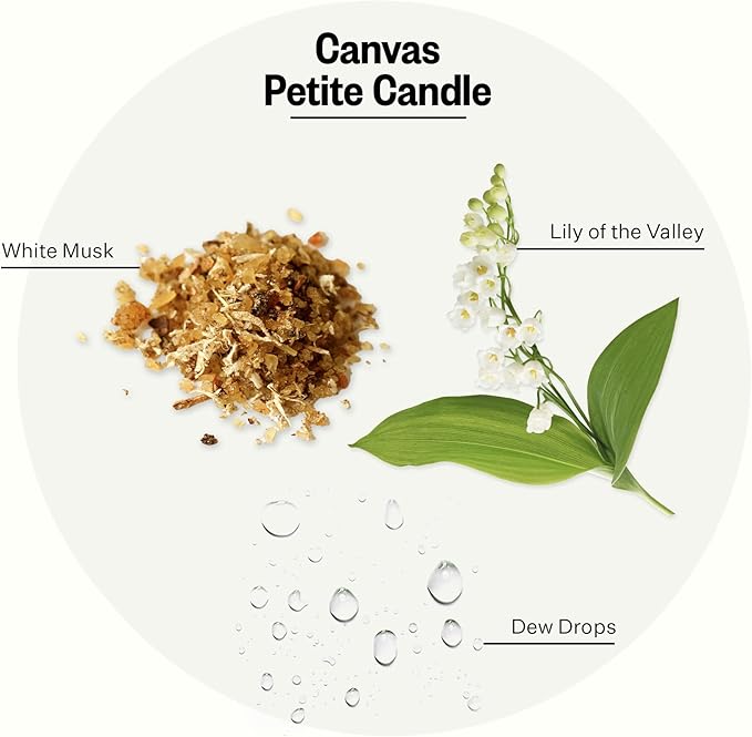 Apotheke Luxury Scented Candles for Home, Canvas - Petite Aromatherapy Jar Candle with Soy Wax Blend