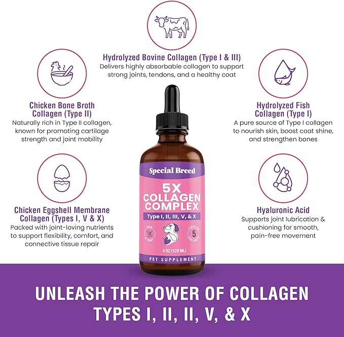 Premium Collagen for Dogs - Liquid Support for Joints, Skin, Coat, Bone, Immune System & HIPS - Collagen Supplement - Made in USA - 4oz