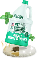 Sunny & Honey Pet Stain Remover - For New and Deep-set Stains - Pet & Kid Safe Pet Enzyme Cleaner - Fast Acting Carpet Cleaner Spray for Rugs, Upholstery & Furniture (128 fl oz, Spring Mint)
