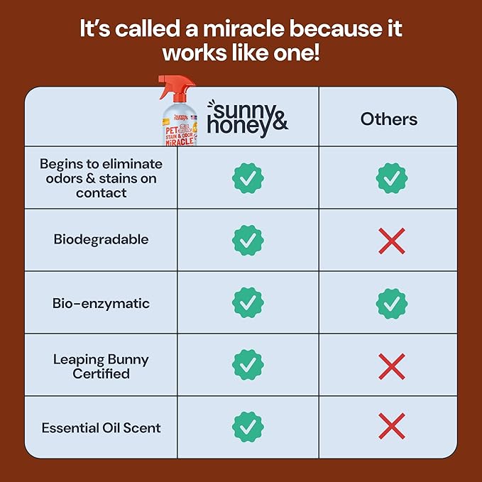 Sunny & Honey Pet Stain Remover - Enzyme Cleaner For New & Deep Set Stains - Carpet Deodorizer & Urine Odor Eliminator for Dog Pee, Cat Urine, Upholstery & Furniture (32 fl oz, Fall Spice)