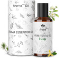 Fragrance Oil - Escape Essential Oil Blend - Luxury Hotel Inspired Home Aromatherapy Diffuser Oil - Orange Blossom, Vanilla, Jasmine, Cedar - for Diffuser, Humidifier, Ultrasonic, Reed - 150ML
