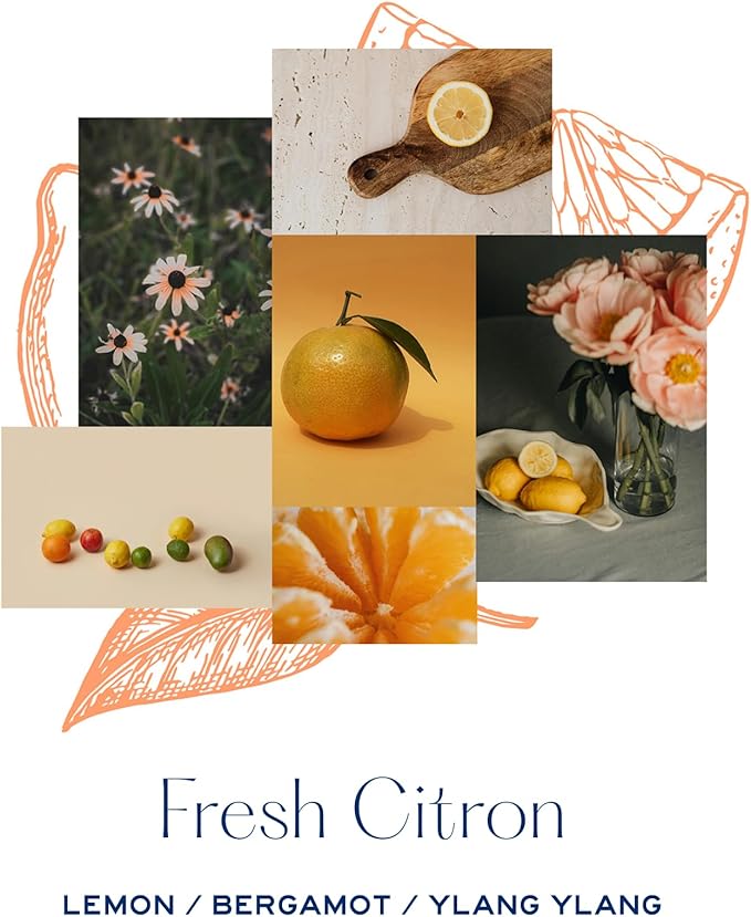MERSEA Fresh Citron Sandbag Candle, Scented Candle with Canvas Bag (6.5 oz)