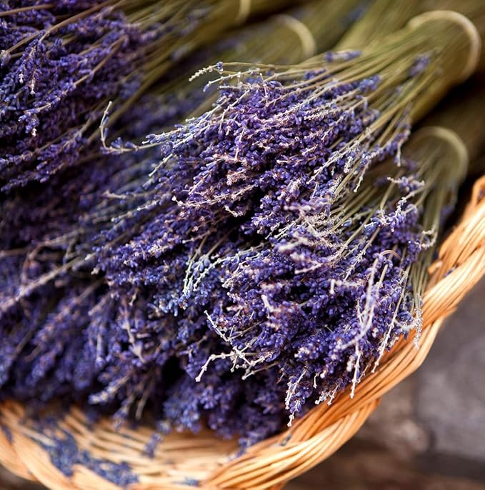 Lavender Oil - Bulgarian Essential Oils - Lavender Diffuser - Pure Therapeutic Grade (2lbs)