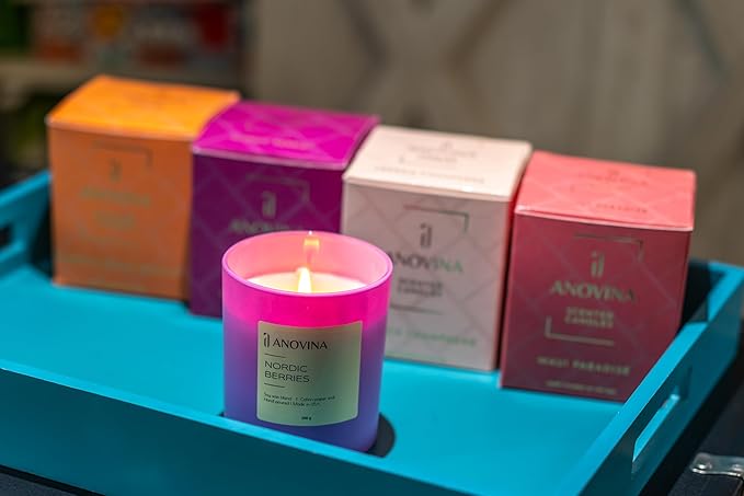 Anovina Nordic Berries Scented Candle — Fruity Berry & Sweet Musk Soy Blend | Long Lasting Jar Candle for Home | Nordic Gifts & Berry Scented Candles | Hand Poured in USA