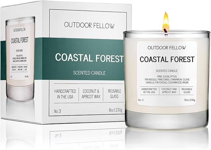 Outdoor Fellow Coastal Forest Scented Candle, 8oz, Coconut & Apricot Wax Blend, Pine, Eucalyptus, Cedarwood, Reusable Glass, 40-50 Hour Burn Time