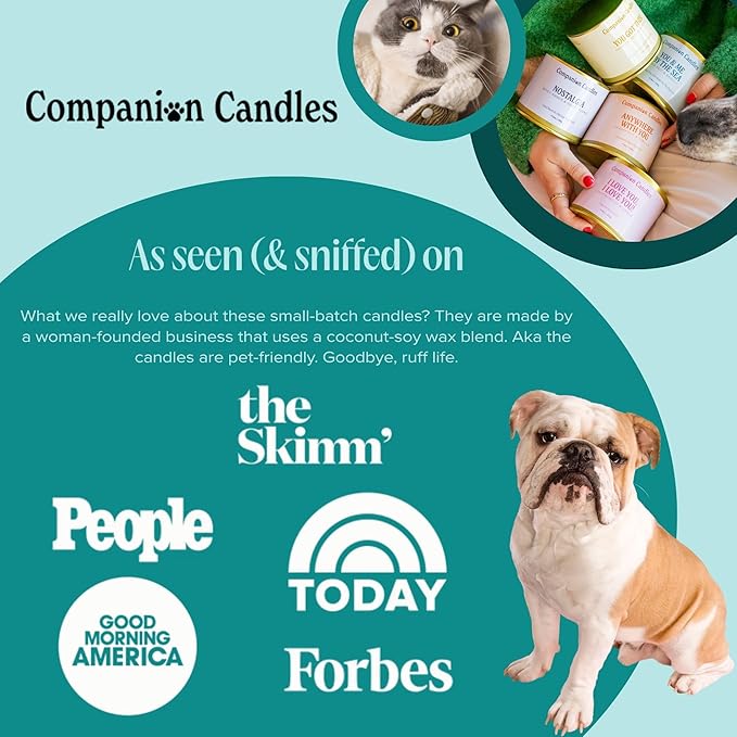 Companion Candles Pet Safe Wood Wick Candle - “You Got This!” Citrus & Tropical Fruits, Coconut Soy Wax Scented, Over 50 Hr Burn Time, Non-Toxic, Women-Owned, Made in USA (11.8 oz.)