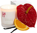 Tropical Essence Single Wick Soy Candles, Luxury Scented Candles for Home - Up to 60 Hour Burn Time, Cruelty-Free Soy Wax Blend - Floral Fragrance, Notes of Coconut & Citrus (9 oz)