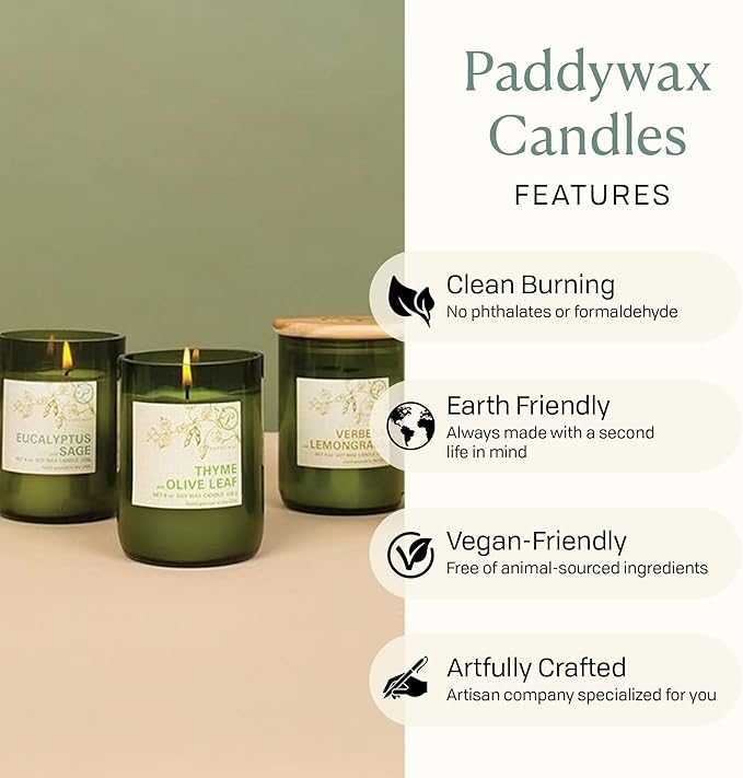 Paddywax Eco Collection Scented Soy Wax Candle in Glass Jar, Mandarin & Lavender Fragrance, Green Vessel with Wood Lid, 8 oz