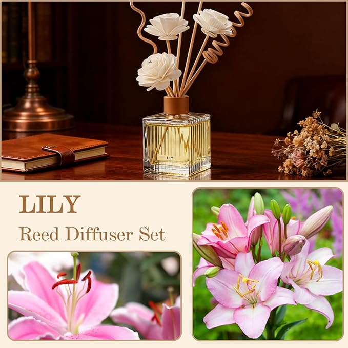 Lily Reed Diffuser Set - 6.7 oz Glass Bottle with 4 Rattan Sticks, 3 Dried Flowers | Adjustable, Long-Lasting Scent for Home, Bedroom, Living Room, Office, Bathroom | Aromatherapy Gift Set