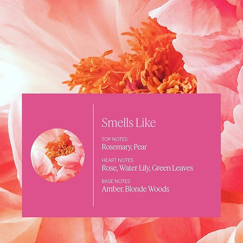Aera Mini Rose - Essential Oil for Home - Fresh and Sensuous Fragrance - Notes of Himalayan Rose, Linden and Peony - Scent Refill - Capsule Size Works with Mini Diffuser