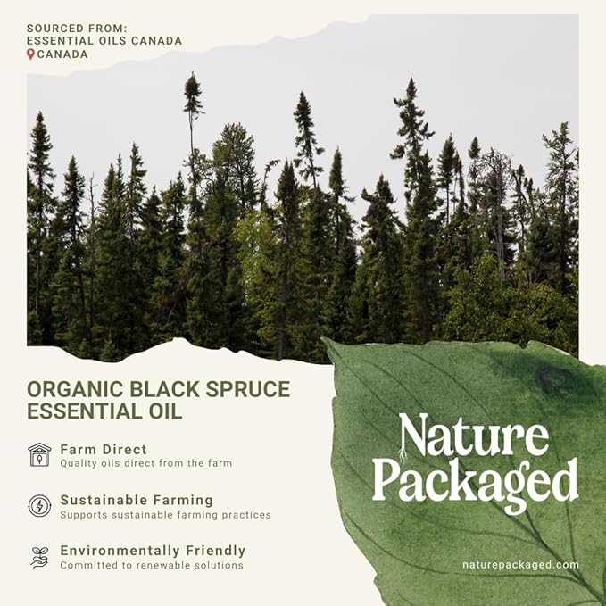 Organic Black Spruce Essential Oil from Canada - Black Spruce Essential Oils for Candle Scent (2lbs)