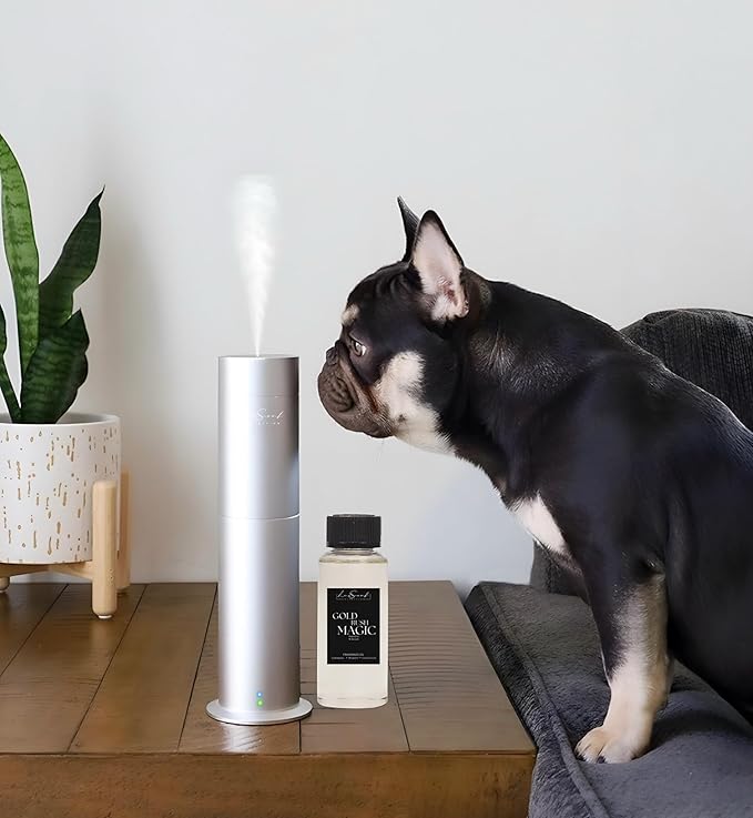 Aroma Scent Diffuser Starter Kit for Up to 1000SQ. FT. Coverage - 120ML Waterless Essential Oil Scent Included - Luxury Aroma Diffuser Ideal for Home, Office & Hotel (Silver, Gold Rush Magic)