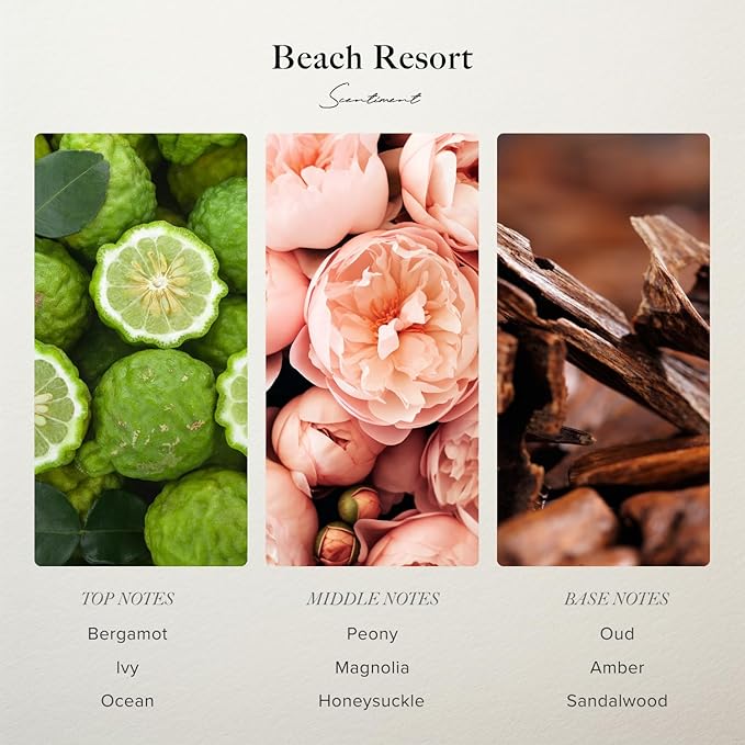 Scentiment Diffuser Oil - Beach Resort | Aromatherapy Fragrance Inspired by 5-Star Hotels | Luxurious Scent with Notes of Bergamot, Ocean, Peony with Amber & Sandalwood (120 mL)
