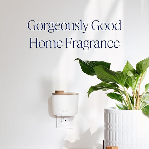 Aera Mini Essential Oil Fragrance Diffuser + Citrus Scent Bundle for Small Rooms (100–500 Sq Ft), Alexa Compatible + App Controlled Aromatherapy Smart Waterless Diffuser – Hypoallergenic & Pet Safe