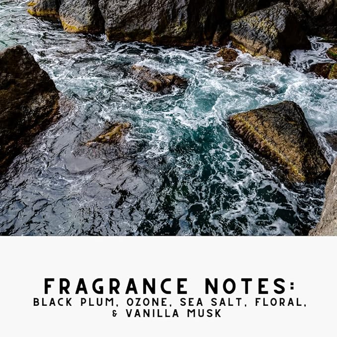 The Diamond Life Home "Noir Luxe" Sea Salt & Ozone, Carpet Powde For Vacuumingr, Mattress & Upholstery Freshener With Room Spray, Air/Fabric/Linen Odor Eliminator For Homes With Kids & Pets Bundle