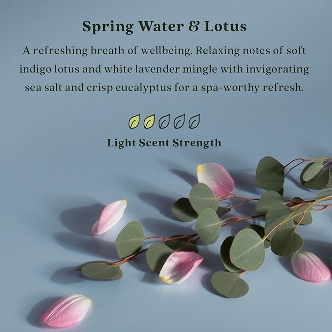 Enviroscent Non-Toxic Air Freshener Scent Stix™ Refills - Compatible with Enviroscent Scent Stix™ Liquid-Free Diffuser Kit - Fragrance Lasts Up to 60 Days - Spring Water & Lotus (Pack of 2)