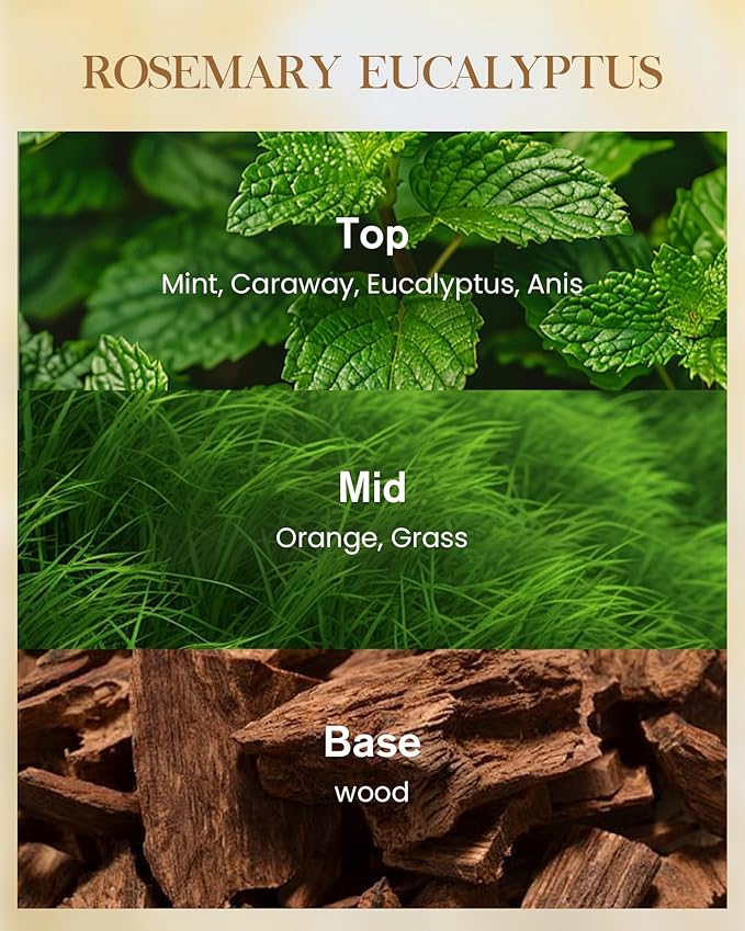 M&SENSE Rosemary Eucalyptus Soy Large Candles, 3-Wick 35oz 150H Slow Burning, Aromatherapy Candle for Bathroom Freshness Winter Housewarming