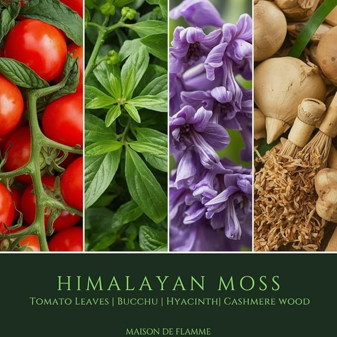 Himalayan Moss Soy Scented Candle – 150g / 5.3 oz Aromatherapy Green Candle, Hand-Poured Soy Wax Blend with Cotton Wick, Long-Lasting Home Fragrance for Relaxation & Bedroom Décor