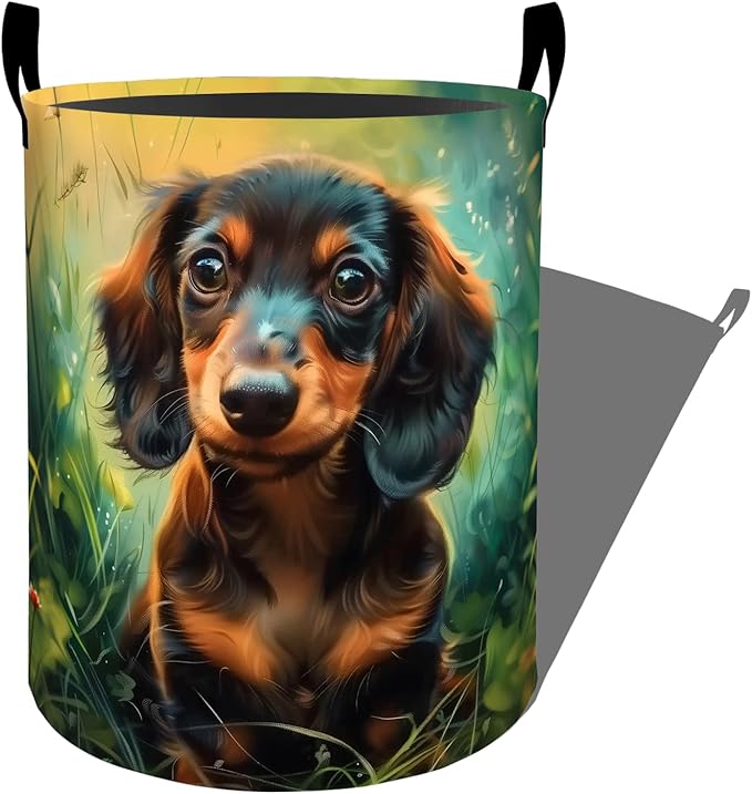 Cute Dachshund in Sunny Grass Laundry Basket with Handles, 19.7"x15.7" Clothes Foldable Laundry Hamper Organizer for Dorm Nursery Bedroom Bathroom Decor, Toy Storage Bin for Kids
