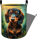 Cute Dachshund in Sunny Grass Laundry Basket with Handles, 19.7"x15.7" Clothes Foldable Laundry Hamper Organizer for Dorm Nursery Bedroom Bathroom Decor, Toy Storage Bin for Kids