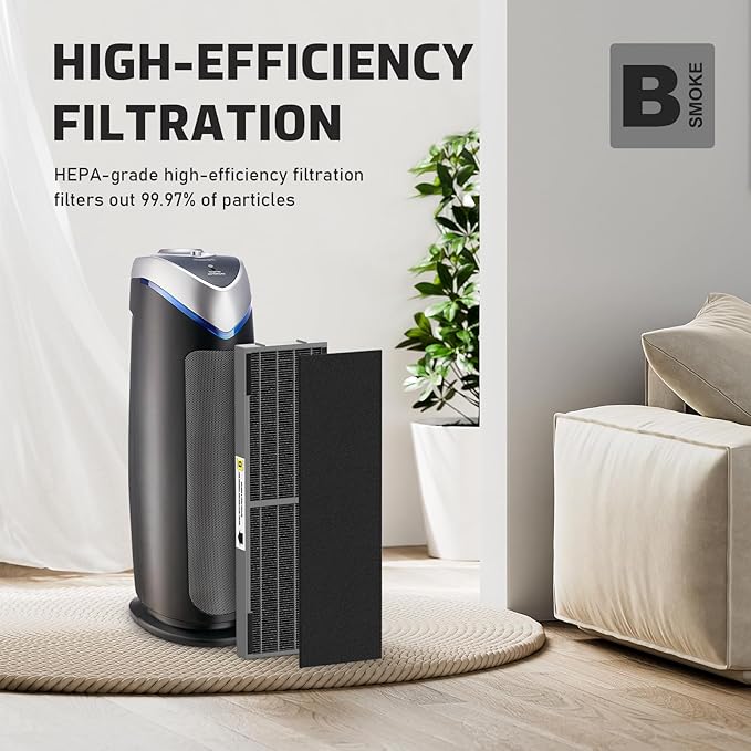 FMDZFL Filter B Smoke Clear HEPA Replacement Compatible with AC4825 AC4300 AC4800 AC4900 AC4850, 2 True HEPA Filters & 6 Activated Carbon Pre-Filters, FLT4825SM, Black/Gray