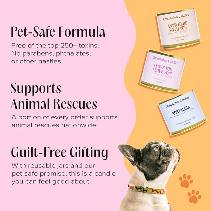 Companion Candles Pet-Friendly Wood Wick Candle - “Anywhere with You” Grapefruit & Vanilla, Coconut Soy Wax Scented, Over 50 Hr Burn Time, Non-Toxic, Women-Owned, Made in USA (11.8 oz.)