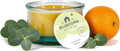 Bluecorn Beeswax 3-Wick Candle, 100% Pure Bees Wax, Eucalyptus & Orange Essential Oils Candle Wax, Soy Free, Clean Burning, Long Lasting, Gifts for Women & Men, Christmas Gifts, American Made, 10 Oz