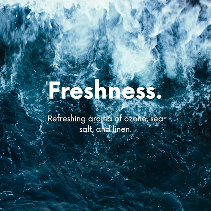 The Diamond Life Home "Sea Mist" Cotton Blossom & Linen Natural Carpet Powder For Vacuuming, Upholstery Freshener, Cat Litter/Dog Bed Odor Eliminator For Homes With Kids & Pets(2 Pack)