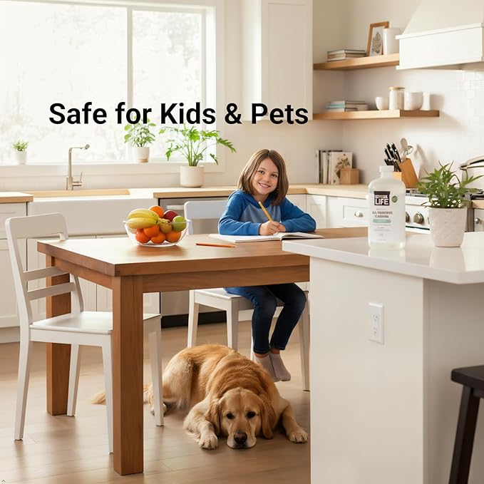 Better Life All Purpose Cleaner - Multipurpose Plant Based Home and Kitchen Cleaning Spray for Glass, Countertops, Appliances, Upholstery & More - Multi-surface Spray Cleaner - 24oz Unscented