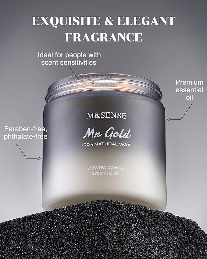 M&SENSE Smoked Leather Scented Men Jar Candle, 11.6oz 2 Wick Large Natural Soy Candle 70 Hours Long Lasting, Highly Scented Home Decor Candle for Men