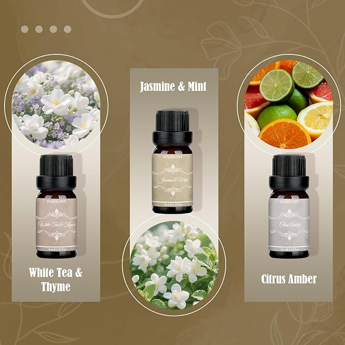 Hotel Diffuser Oils Gift Set, Aromatherapy Essential Oil Set, Luxury Hotel Scents for Diffuser for Home – White Tea & Thyme, Jasmine & Mint, Citrus Amber, Luxury Night, Dreamy Den, Urban Oasis
