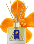 Osmanthus & Fruit Reed Diffuser - Golden Hour Luxury Hotel Scent, Sun-Drenched Apricot & Peony Floral, Exotic Boutique Home Fragrance, 6.4 fl oz(Osmanthus & Fruit)
