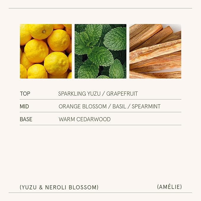 LA JOLIE MUSE Yuzu & Neroli Blossom Candles, Scented Candle Gifts for Women&Men, Natural Soy Candles, Long Burning Luxury Jar Candle, 11oz