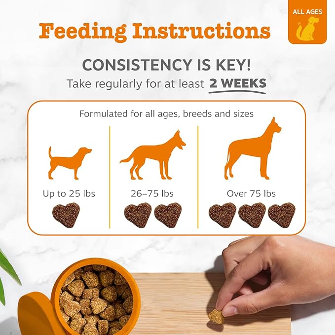 Zesty Paws Dog Allergy Relief Chews, Dog Probiotics for Itchy Skin and Ears, Lamb, 50ct