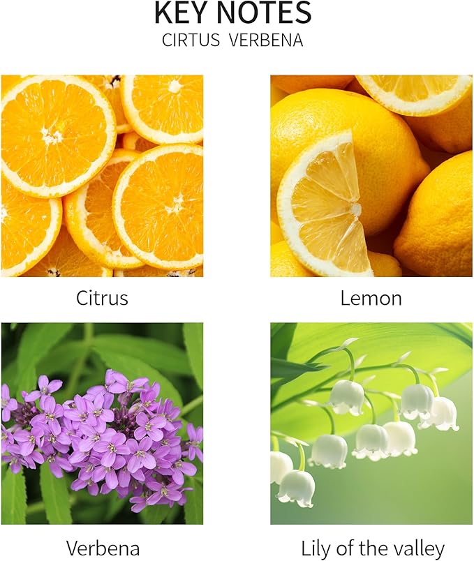 Airkeep Reed Diffuser Set, 3.38 fl oz (100 ml) - Cirtus Verbena Oil Diffusers with 8 Reed Sticks, Home Fragrance Reed Diffuser for Bathroom Shelf Decor